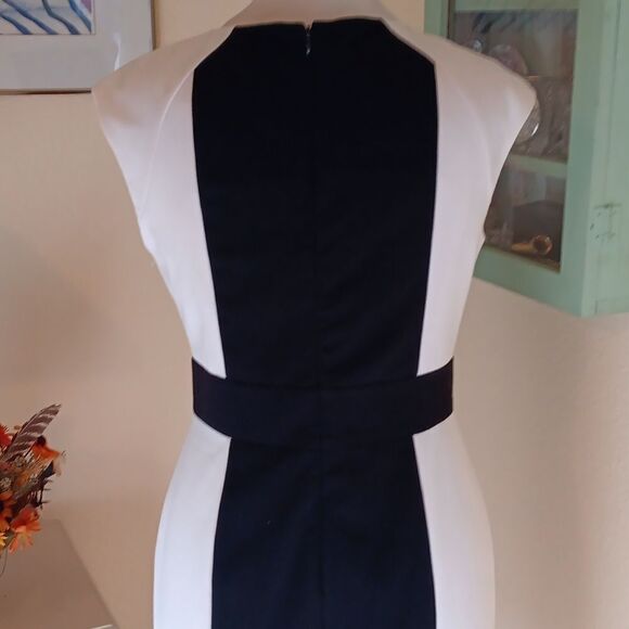 Calvin Klein Colorblock Dress - Picture 6 of 10